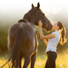 cavallo, turismo equestre, formazione