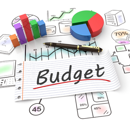 budget, grafici, istogramma