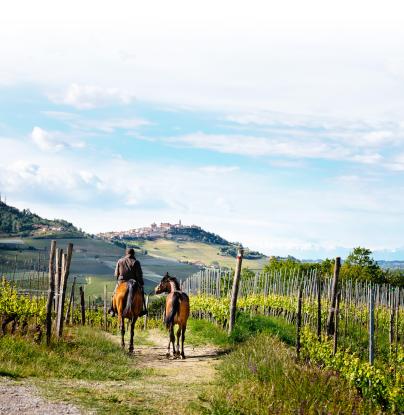 cavallo, turismo equestre, formazione