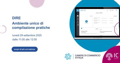 DIRE, schermo pc, logo infocamere