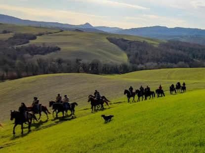 cavalli e cavalieri, paesaggio toscano