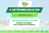 Comunità energetiche rinnovabili, pannelli solari in sfondo