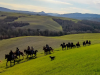 cavalli e cavalieri, paesaggio toscano